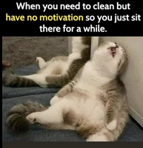 User post image