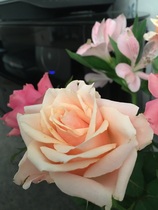 User post image