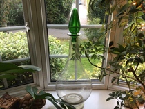 User post image