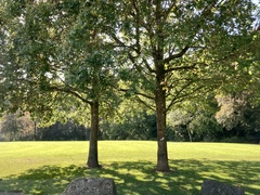 User post image