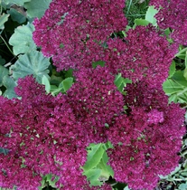User post image