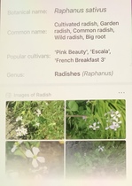 User post image