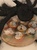 User post image