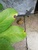 User post image