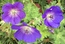 User post image