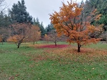 User post image