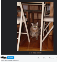 User post image