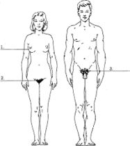 User post image