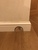 User post image