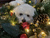 User post image