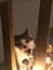 User post image