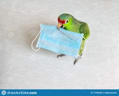 User post image