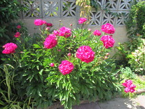 User post image