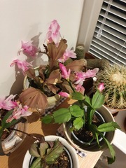 User post image