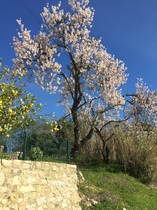 User post image