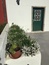 User post image