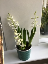 User post image
