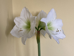 User post image
