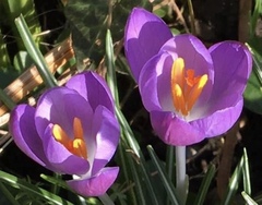 User post image