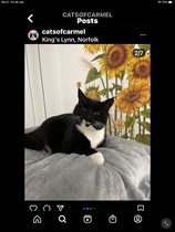 User post image