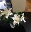 User post image