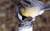 User post image