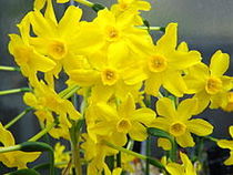 User post image