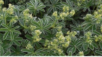 User post image