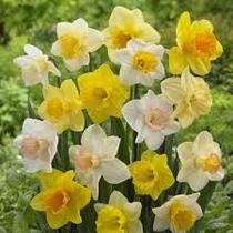 User post image