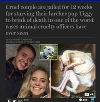 User post image