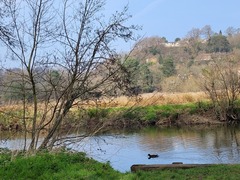 User post image