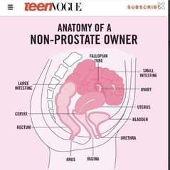 User post image