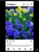 User post image