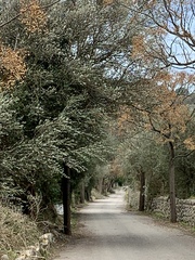 User post image