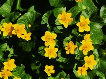 User post image