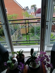User post image