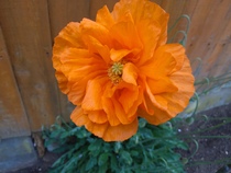 User post image