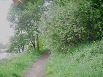 User post image
