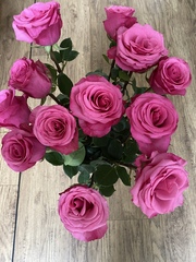 User post image