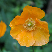 User post image