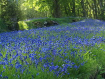 User post image