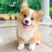 User post image