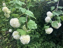 User post image