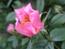 User post image