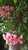 User post image