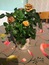 User post image