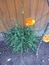 User post image