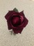 User post image