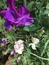 User post image