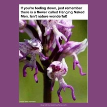 User post image